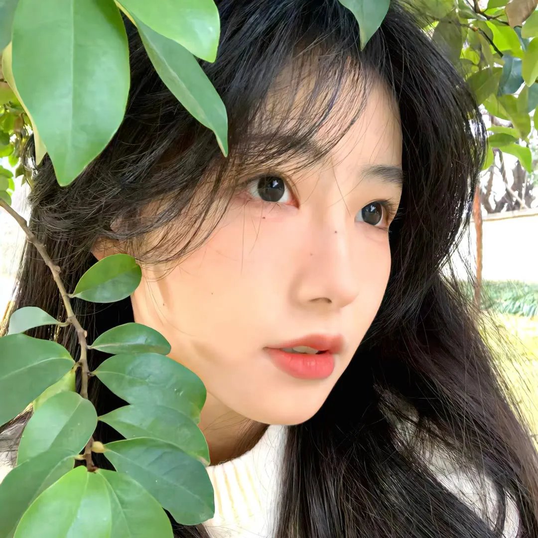 伪情半生